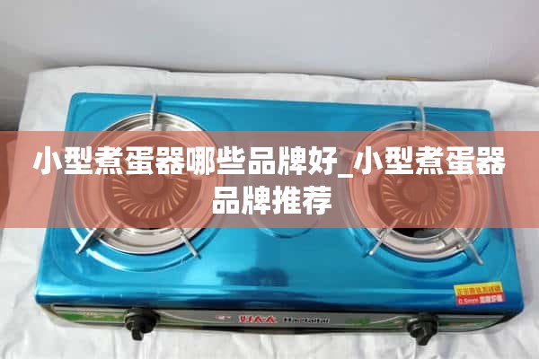 小型煮蛋器哪些品牌好_小型煮蛋器品牌推荐