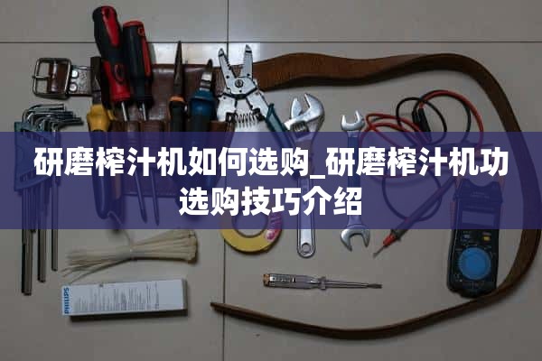 <b>研磨榨汁机如何选购_研磨榨汁机功选购技巧介绍</b>