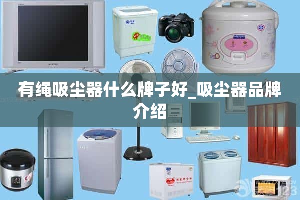 有绳吸尘器什么牌子好_吸尘器品牌介绍