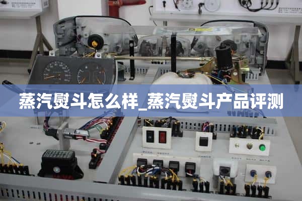 <b>蒸汽熨斗怎么样_蒸汽熨斗产品评测</b>